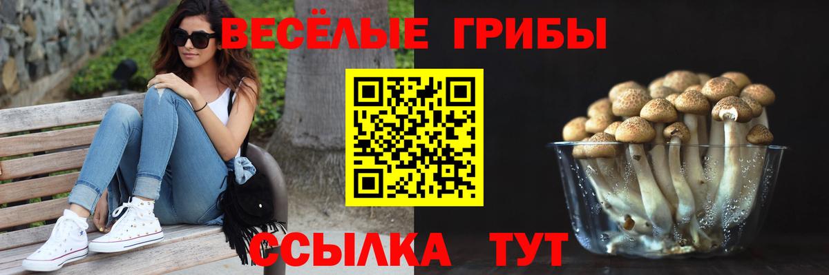 Псилоцибиновые грибы мухоморы  Псилоцибиновые грибы мицелий  Сафоново  Вход с VPN 